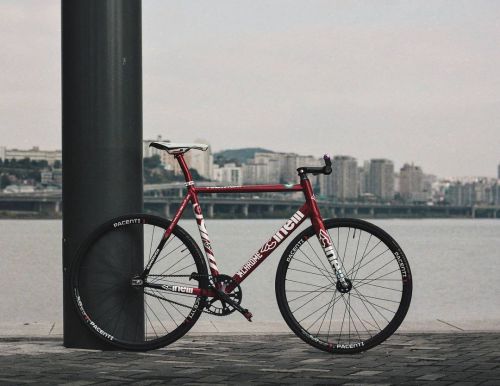@alter_cycles———————————————@singyul_ Gwangju ,KoreaPhoto by @kevin__photograph..#fixedgear #fixie #