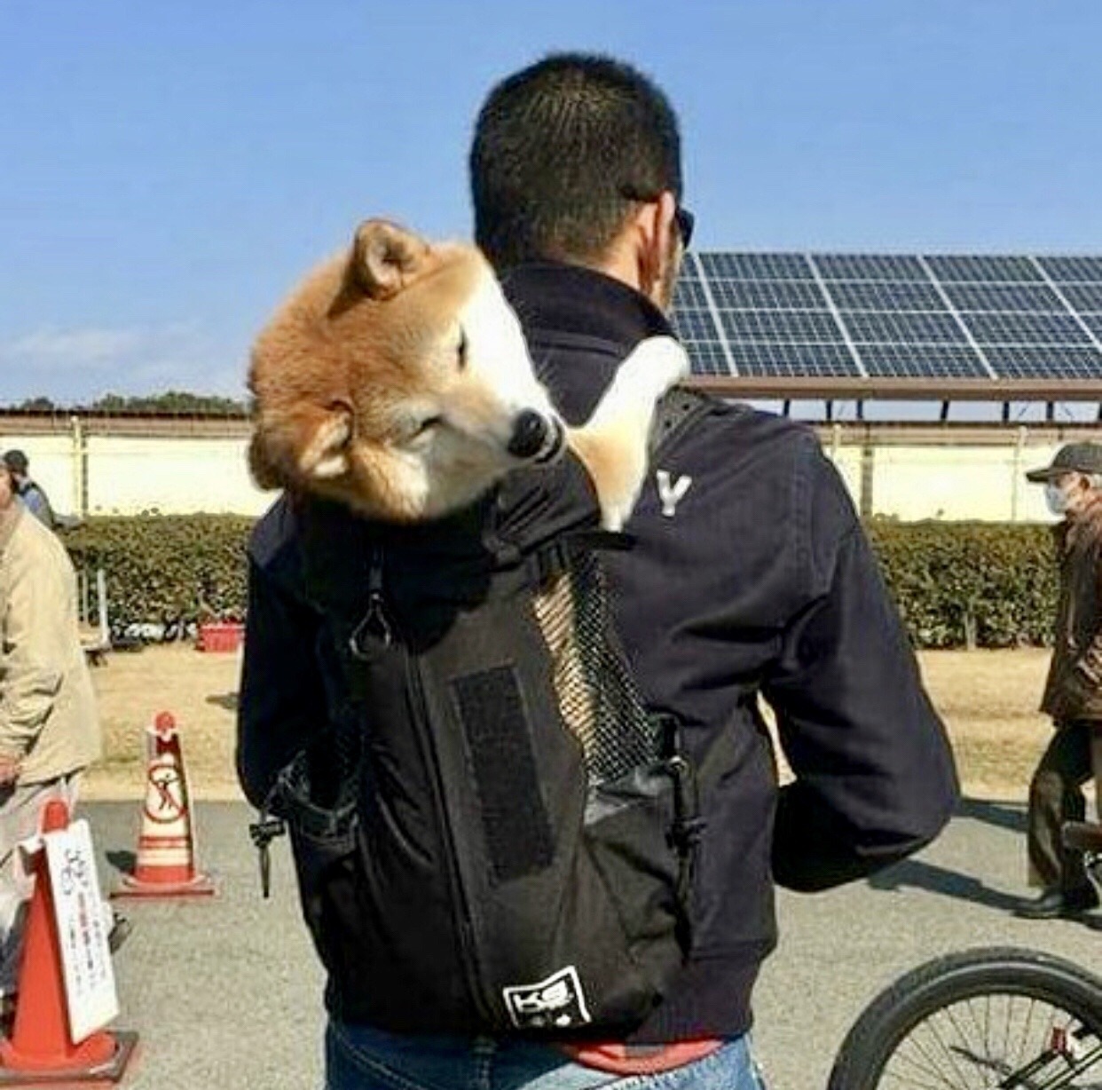 woof?