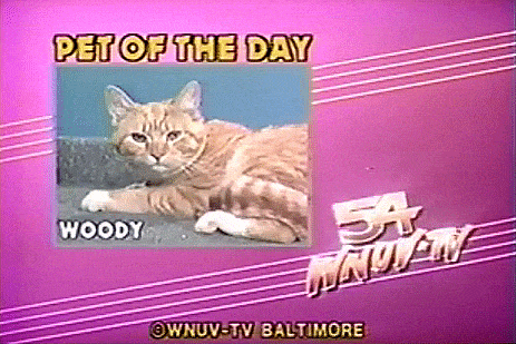 WIL WHEATON dot TUMBLR dot COM