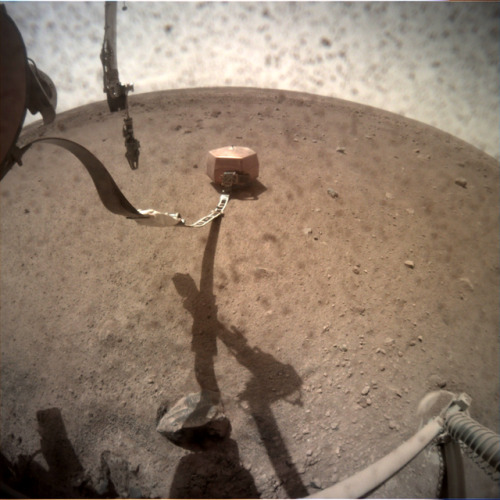 InSight: A few sol 26 photos; I like to think the top one is the probe raising a victory claw after 