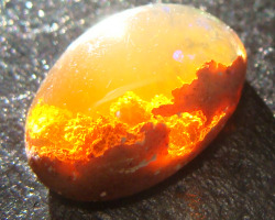  This Mexican fire opal looks like a sunset above the clouds when illuminated just right.Image credit: Jeff Schultz 