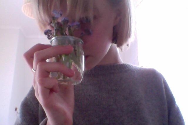 floracia:  On my way home from school it was windy and I picked forget-me-not, we