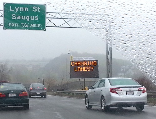 XXX chiltno:  no one is more amused by massachusetts photo