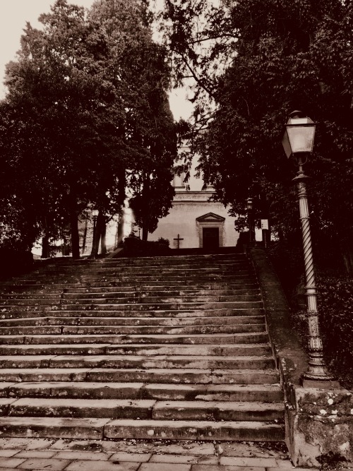 San Salvatore al Monte, Florence.