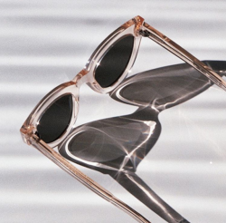 birdasaurus:  Monokel Eyewear