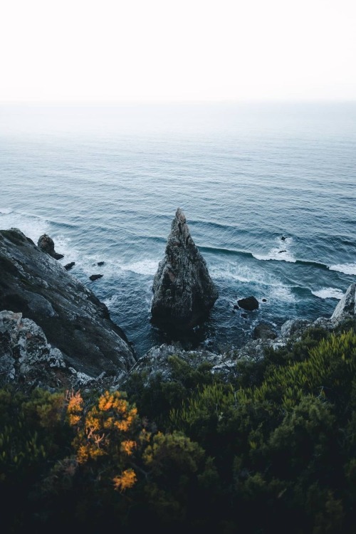 alecsgrg:Crashing waves | ( by Marvin Walter )