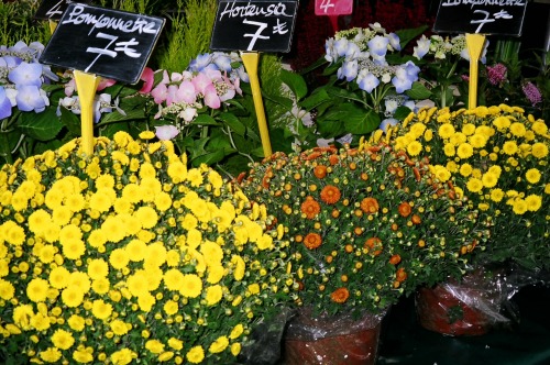 Autumn Flowers For Sale, Marche de Rue Cler, VII arr., Paris, 2005.