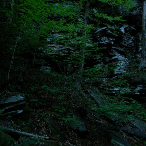 aetheric-aesthetic:Late Day On The Falls TrailRicketts Glen State Park