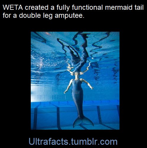 ultrafacts:  ultrafacts:  The team over at WETA completed a rather unusual project,