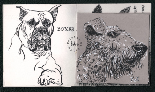 DES CHIENS Par Baldo, Cahier Maison Agraf 12 X14 Cm