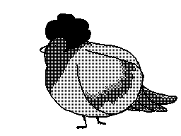 k-eke:  Pigeon + afro = Pigeafro !  La vie pourrait être tellement mieux avec