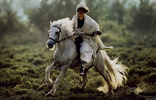 Porn back in the archives: hans feurer photos