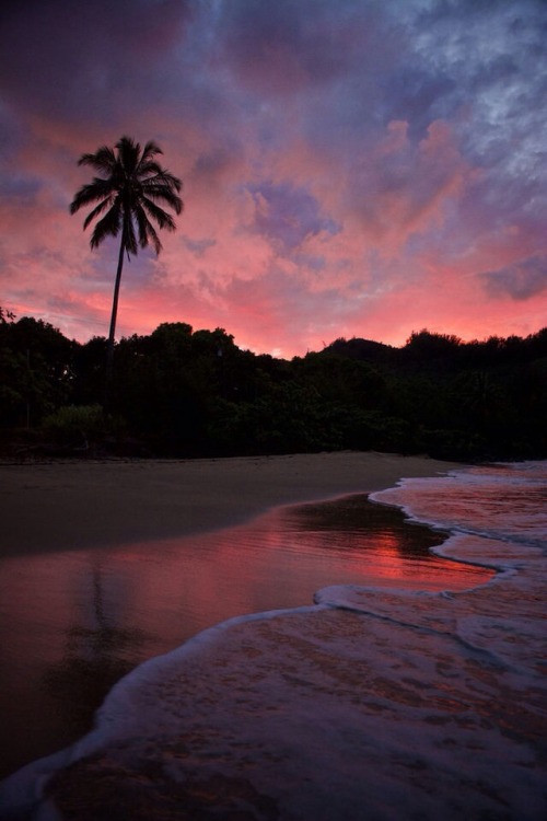 california-grunge:  •