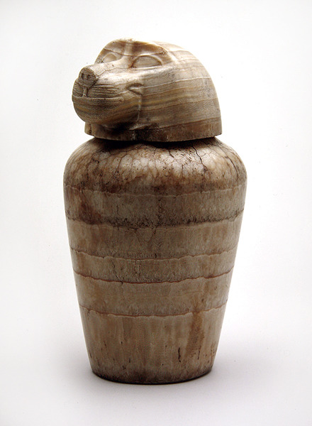 Canopic jar with a lid of hamadryas baboon (alabaster).The baboon head represents the god Hapi (Son 