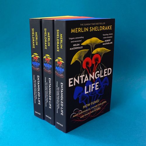 Entangled Life is Merlin Sheldrake’s engaging study into the wonderful world of Fungi and it’s out n