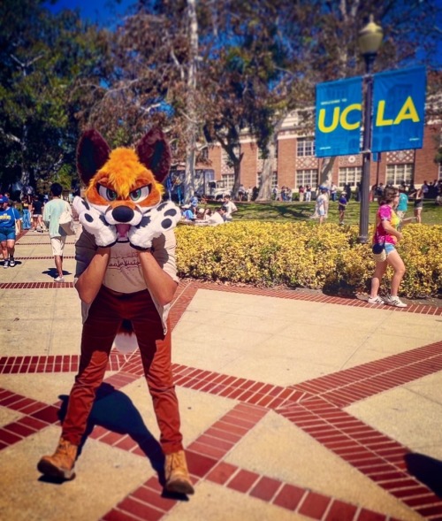 Furries At My College!