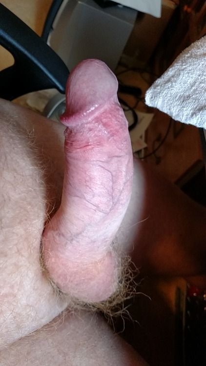 garelee: ginger bush 