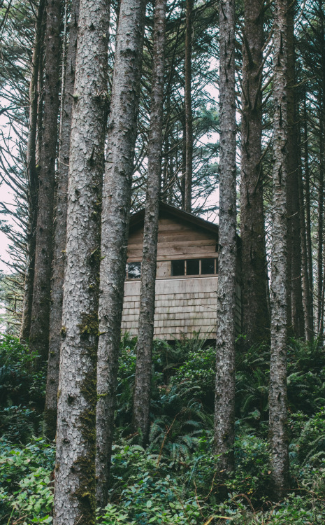 Ocean Cabin