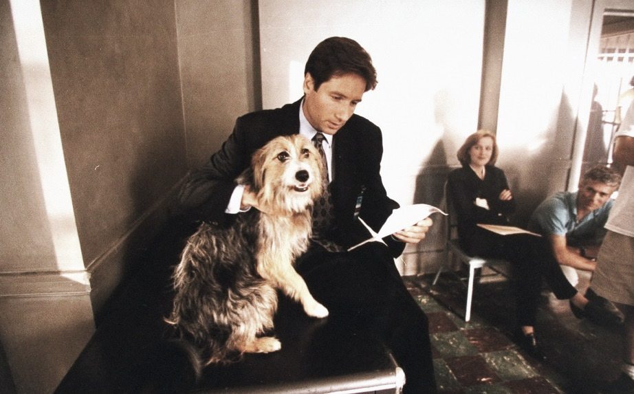 evilnol6:  .David Duchovny and Gillian Anderson during the filming of “The X-Files”