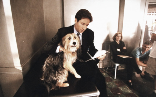 evilnol6:  .David Duchovny and Gillian Anderson during the filming of “The X-Files” 