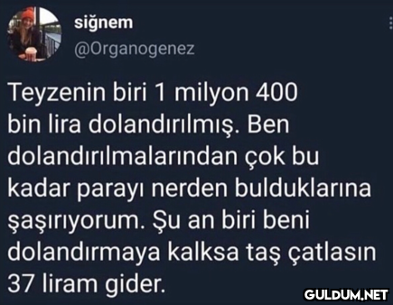 siğnem @Organogenez...