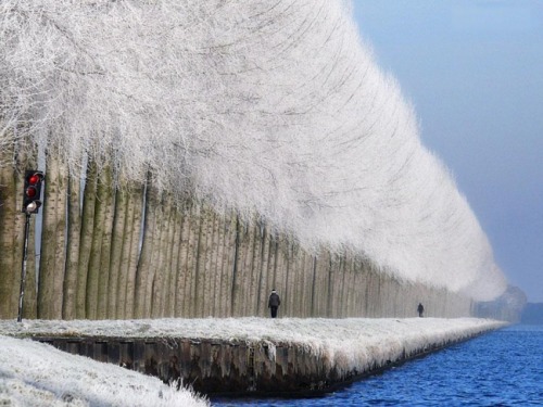 Winter landscape in Grabovica, Serbia