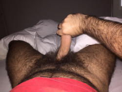 ursus-truly:  hairycloseups: Check my theme