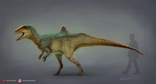 mariolanzas:CONCAVENATOR. 2021New reconstruction of the iconic Carcharodontosaur dinosaur of Cuenca,