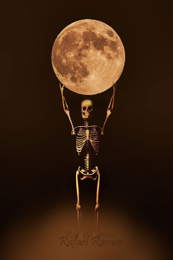 moonipulations:  Full Moon Skeleton - Photography by Rafael Ramos Fenoy http://bit.ly/1y8S0v5 #xrays #selfie #fullm…