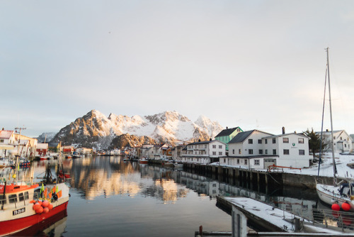 natalieallenco:Lofoten Islands, Norway.