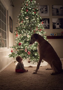 leigh-of-oldstones:  theinturnetexplorer:   Growing up with Pets  The baby’s expression in the third pic! 