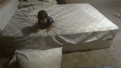 andrewismusic:  onlylolgifs:  Future Engineer  i’m actually kind of moved but this innocent lil dude working so hard to accomplish something so simple also recognizing that if it took me that much effort to get out of bed i definitely wouldn’t 