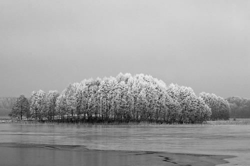 thephotographerssociety: radekrogus: Winter ‘05 Great b&w quality with a peaceful feeling.Yian