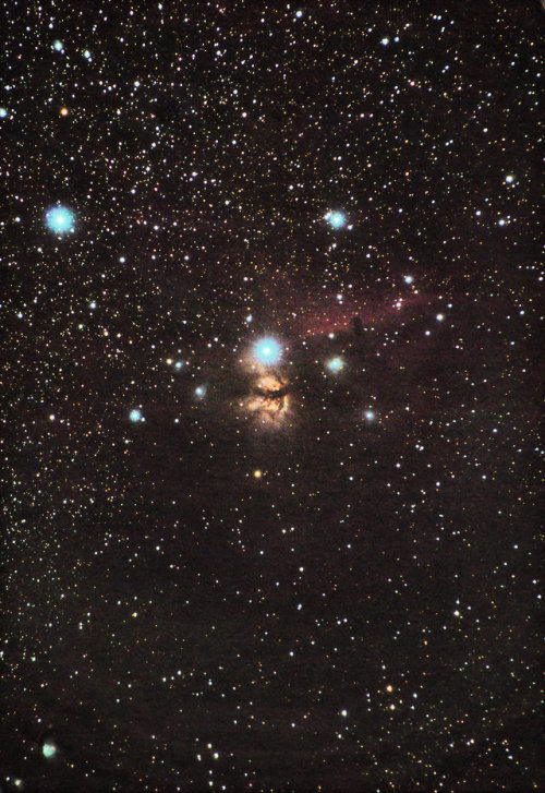 startlingspace:The Horsehead, Flame, and M78 at 200mmFound here