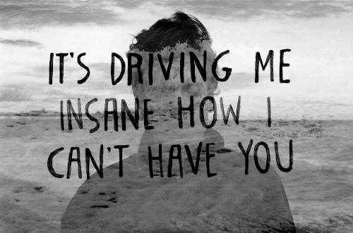 silly-luv:  ♡ find your best posts on my blog ♡