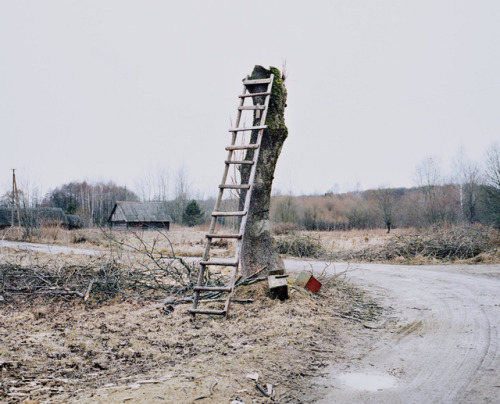 in The road not taken, Jasper Bastien