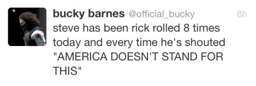 jehankirschstein:the official_bucky twitter is a gift to this world