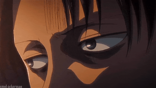 Levi's Eyes' Appreciation Post: