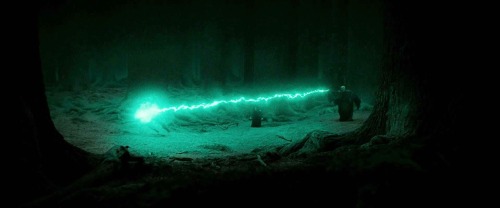 hpeighthhorcrux:Harry Potter + Horcruxes destroyed.