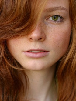 innocentredheads:  more redheads