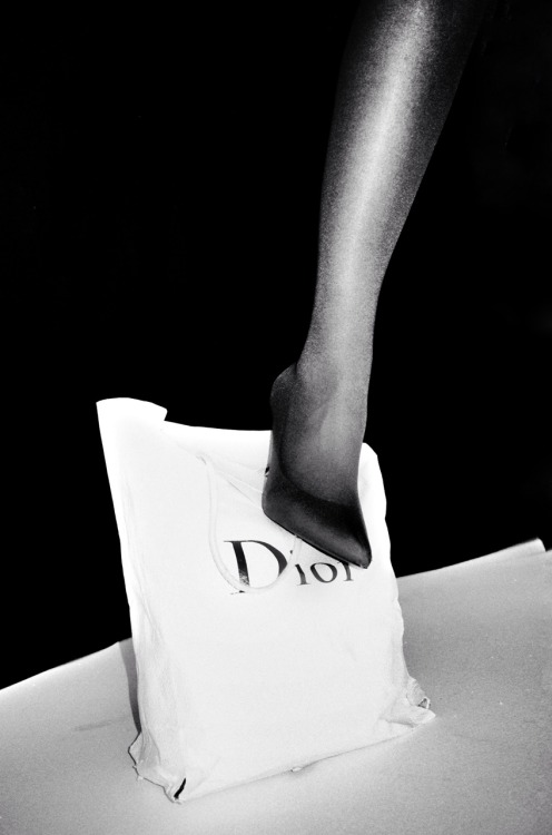 peterspurny:Vanda 2016