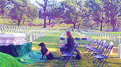 girl-fightt:  soldierporn:  He’s not a dog, he’s a Marine.  NOT CRYING. NOPE