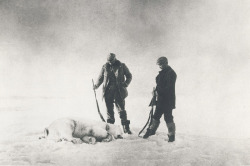 danielshea:  Photographs by Nils Strindberg, one of three who perished on S. A. Andrée’s Arctic Balloon Expedition of 1897. Related: Joachim Koester’s Messages from Andrée. 