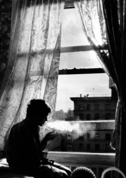 Birdsong217: Donata Wenders Taking A Decision, Los Angeles, 1999. 