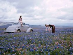 nprfreshair:  Wildflowers in California, 1940s via National Geographic 