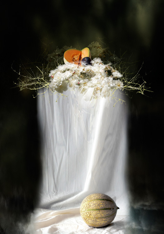crossconnectmag:  A discussion with digital photographer Isabelle Menin by imaginarium
