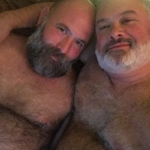 Houston Daddy Bears