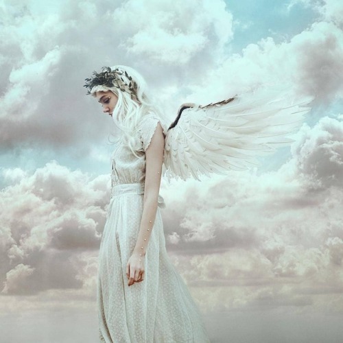 Catch the wind and fly away. Bella used the Fairytas wing set to create this stunning image: @Regran