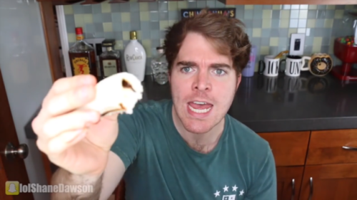 One Of Shane Dawson's Faces