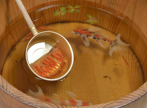asylum-art-2:Riusuke Fukahori’s Lifelike Goldfish Painted in Acrylic Between Layers of Resin Japanes